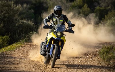 Suzuki V-Strom 800DE, 4k, desert, 2025 bikes, dust, offroad, 2025 Suzuki V-Strom 800DE, japanese motorcycles, extreme, Suzuki