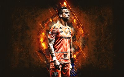ファビオ, fluminense fc, ゴールキーパー, ブラジルのサッカー選手, オレンジ色の石の背景, グランジアート, ブラジル, フットボール, fabio fluminense, ファビオ・デイヴソン・ロペス・マシエル