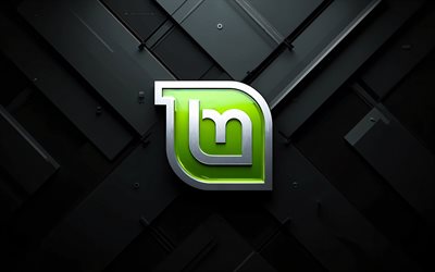 Linux Mint metal logo, black lines background, Linux Mint emblem, Linux Mint logo, hi-tech black background, Linux Mint, Linux