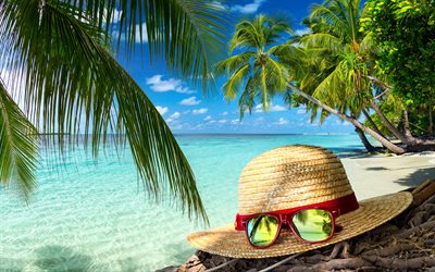 les vacances, la plage, la mer, les palmiers, les côtes, les voyages, l'été