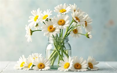 daisies inside clear glass jar, 4k, bouquet of daisies, wild flowers, background with daisies, white flowers, daisies