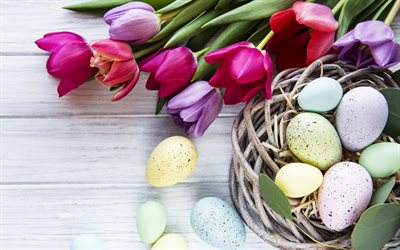 pâques, printemps, œufs de pâques, tulipes, fleurs de printemps, nid avec oeufs, modèle de pâques