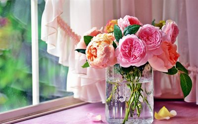 kruka med rosor, rosa rosor, hdr, bukett, rosa blommor, rosor