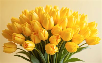 黄色いチューリップの花束, 4k, 黄色の背景, 春の花, 黄色いチューリップ, 春の花束, チューリップ