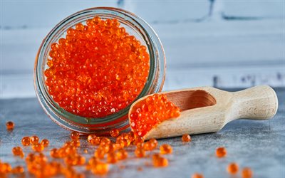 red caviar, fish products, caviar, spoon with red caviar, seafood, jar of red caviar