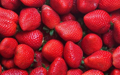 des fraises, baies, des fruits, baies saines, fond avec des fraises, fond de fraises