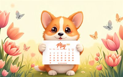 calendario di maggio 2026, 4k, corgi carino 3d, calendario maggio 2026, corgi con calendario, piccolo corgi 3d, calendari di maggio, concetti del 2026, piccolo corgi, cani