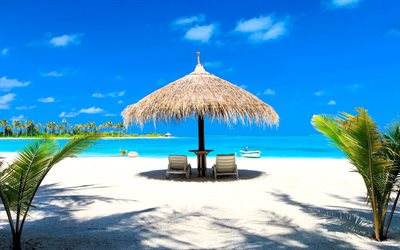 maldivas, isla tropical, océano índico, parasol, tumbonas, viajes de verano, paraíso, playa de lujo, océano