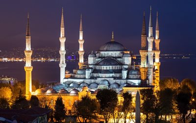 moschea del sultano ahmed, moschea blu, istanbul, notte, bosforo, punto di riferimento di istanbul, moschea, paesaggio urbano di istanbul, tacchino