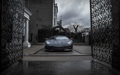 Lamborghini Aventador, süper, 2016, Mansory, tuning, gri Aventador