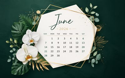 June 2026 Calendar, 4k, green background, orchids, 2026 June Calendar, flowers background, June, 2026 calendars, June Calendar 2026, summer
