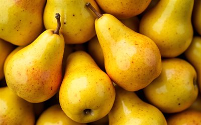 kypsät keltaiset päärynät, 4k, lähikuva, päärynät, kypsiä hedelmiä, tausta päärynöillä, keltaisia ​​päärynöitä, hedelmiä