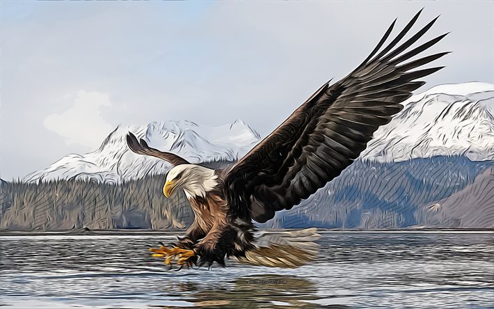 4k, águila calva, depredador, arte vectorial, halcón, américa del norte, dibujos de aves, dibujos de águila calva, arte vectorial de águila calva