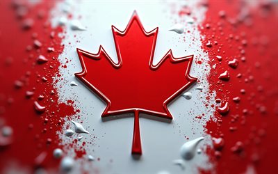 4k, علم كندا, فن الطلاء, العلم الكندي, خوخه, بقع الطلاء, العمل الفني, أفريقيا, الرموز الوطنية الكندية, علم كندا ثلاثي الأبعاد, كندا