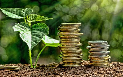 보증금, 4k, 자본 성장, 동전 더미, 녹색 잎, 금융 개념, 예금, 예금 개념