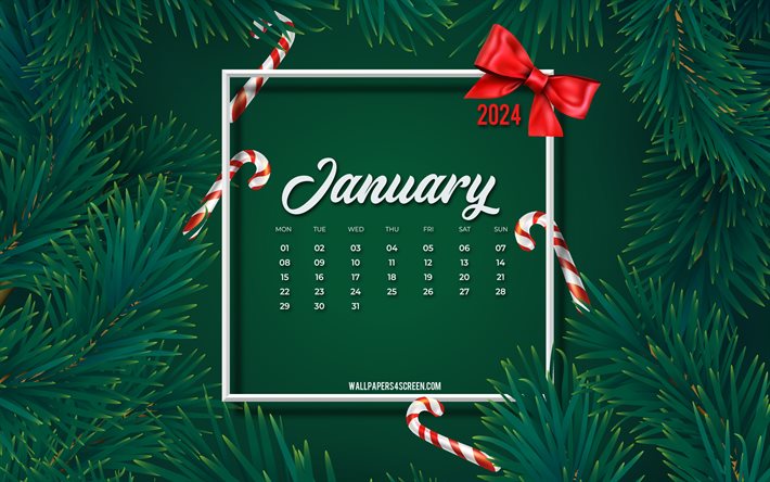 4k, januari 2024 kalender, grön julgramram, grönt trädbakgrund, 2024 januari kalender, 2024 koncept, januari, gröna tallgrenar, 2024 kalendrar