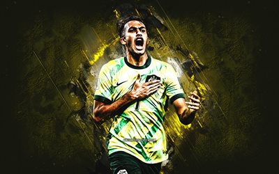 ニーシャン・ベルピレイ, オーストラリアナショナルサッカーチーム, オーストラリアのサッカー選手, 黄色の石の背景, グランジアート, オーストラリア, フットボール, nishan velupillay australia