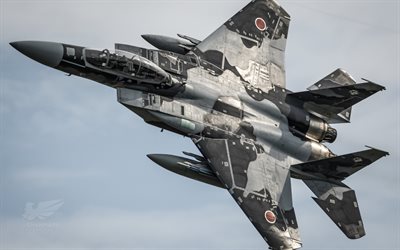 McDonnell Douglas F-15 DJ Eagle, 4k, flying fighters, JASDF, fighter-bombers, F-15, combat aircraft, Japan Air Self-Defense Force, aircraft, military aviation, F-15 DJ Eagle, McDonnell Douglas