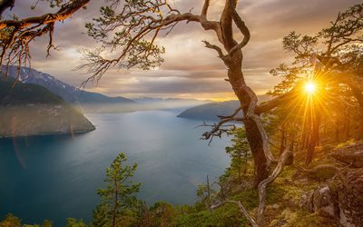 Gün batımı, defne, fiyort, güneşli, güzel bir doğa, Norveç
