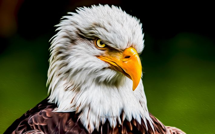 4k, águia careca, águia pintada, símbolo dos eua, obra de arte, aves da américa do norte, abstract bald eagle, criativo, símbolo americano, haliaeetus leucocephalus, falcão