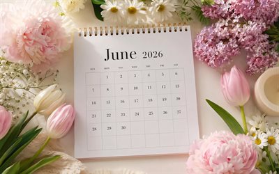 4k, 2026 June Calendar, white paper, colorful flowers, June 2026, spring calendars, spring flowers, June 2026 Calendar, spring, June calendars, 2026 calendars, June