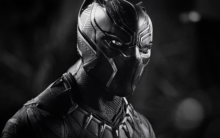 pantera negra, super-herói, retrato, personagem de filme de super-herói, chadwick aaron boseman, personagens principais