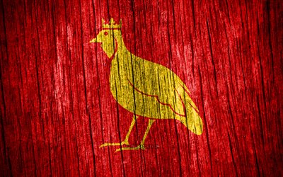 4k, bandiera di aunis, giorno di aunis, province francesi, bandiere di struttura in legno, province della francia, aunis, francia