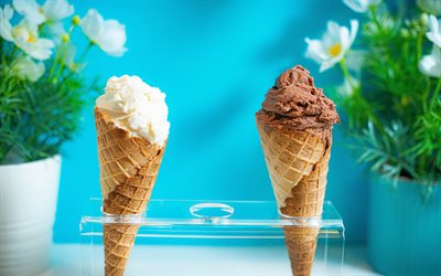 helados, dulces, tipos de helado, helado de chocolate, helado en copa, helado cremoso