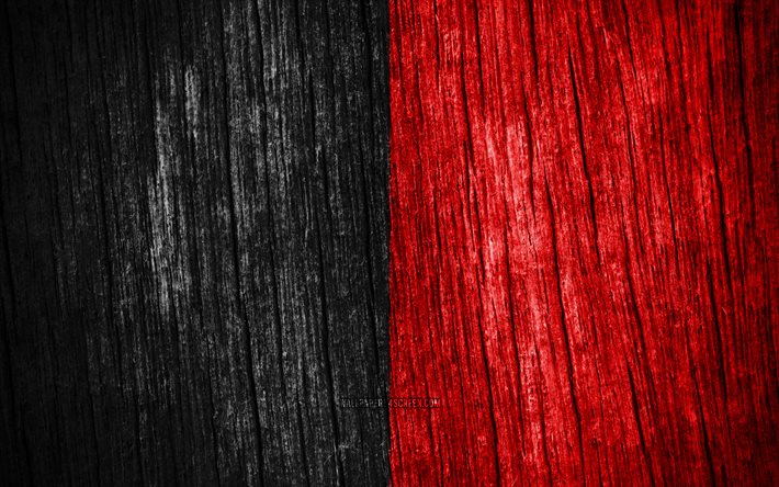 4k, bandeira de namur, dia de namur, províncias belgas, textura de madeira bandeiras, namur bandeira, províncias da bélgica, namur, bélgica