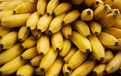 banaanit, makro, eksoottiset hedelmät, musa, tuoreet hedelmät, kypsät hedelmät, kuva banaaneilla, hedelmät