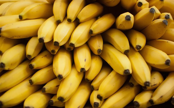 bananas, macro, exotic fruits, Musa, fresh fruits, ripe fruits, picture with bananas, fruits