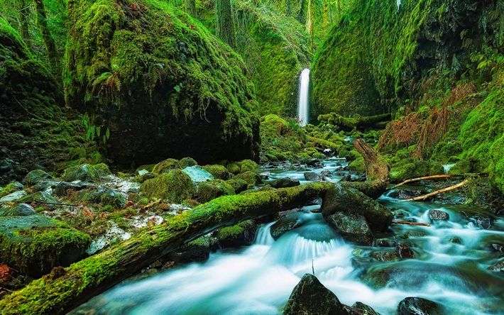 mossy grotto falls, 4k, 숲, 미국의 랜드 마크, 캐스케이드 자물쇠, 오레곤, 미국, 아름다운 자연, 컬럼비아 강 협곡