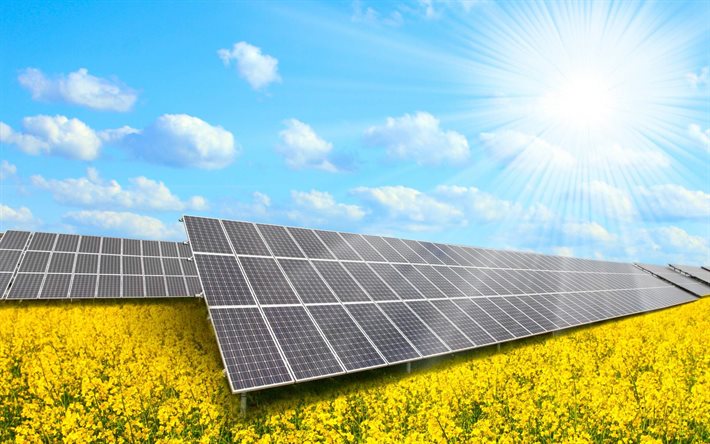 painéis solares, campo, sol, sistema de energia solar