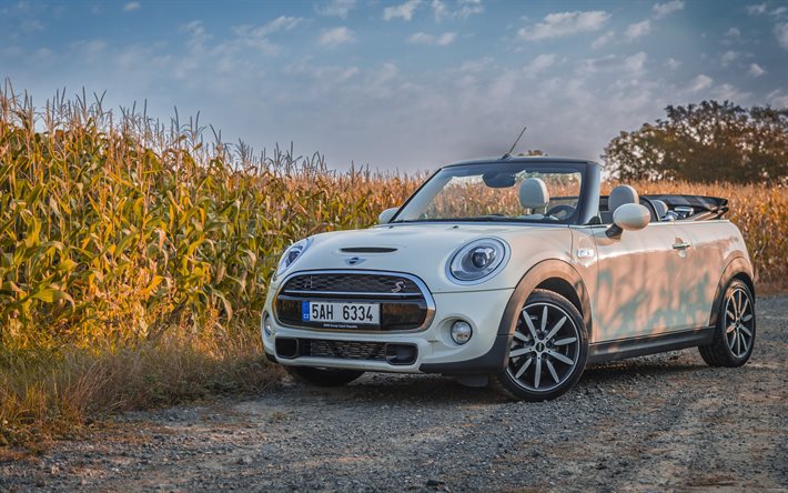 mini cooper cabriolet, 4k, 2016, kenttä, avoautot, valkoinen mini