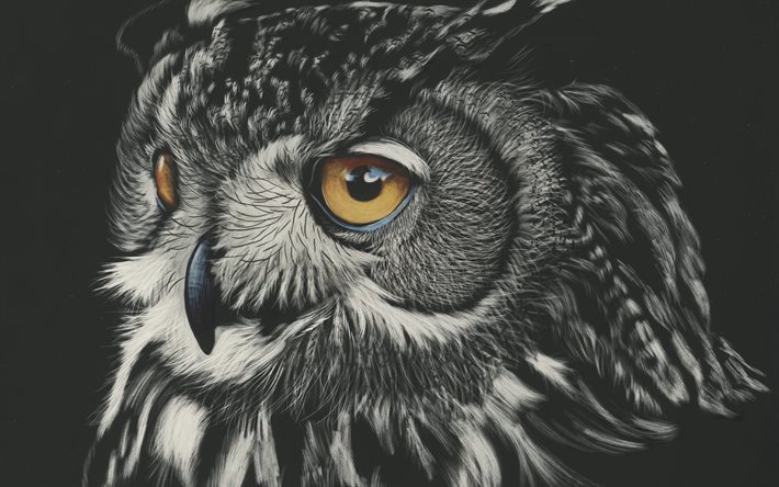 owl, art, beautiful bird, forest birds, painted owl