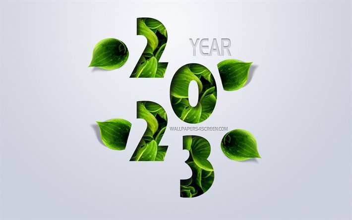 2023 feliz año nuevo, 4k, fondo ecológico 2023, hojas verdes, 2023, conceptos, feliz año nuevo 2023, fondo gris, fondo de naturaleza 2023