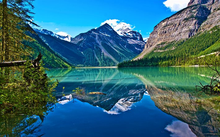 lago kinney, 4k, el verano, montañas, hdr, parque provincial monte robson, columbia británica, canadá