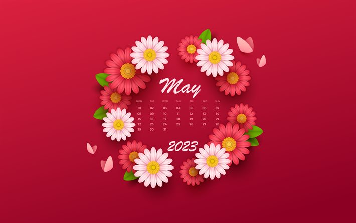 4k, May 2023 Calendar, purple background with flowers, May, creative flower calendar, 2023 May Calendar, 2023 concepts, pink flowers