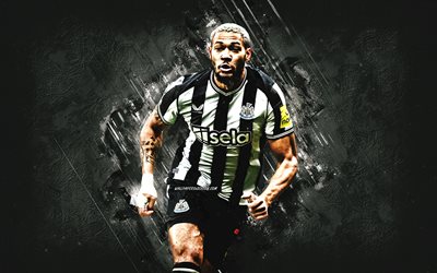 Joelinton, Newcastle United FC, Premier League, goal celebration, white stone background, Brazilian footballers, football, soccer, Joelinton Cassio Apolinario de Lira, Joelinton Newcastle United