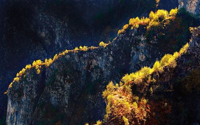 montañas, rocas, árboles en roca, Italia, Lombardía