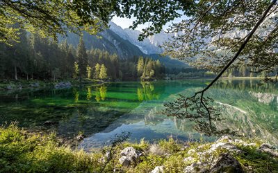 bergsee, gletschersee, morgen, berglandschaft, wald, alpen, österreich, schöner see