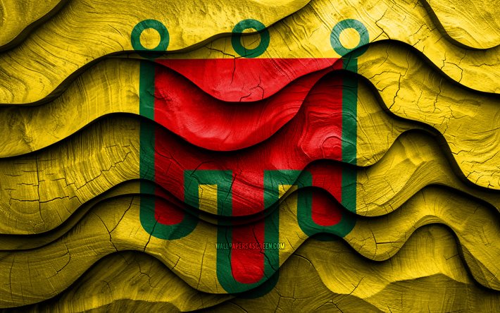 4k, drapeau auvergne, provinces de france, drapeaux d'ondes 3d en bois, jour d'auvergne, drapeau d'auvergne, farner, drapeau en bois auvergne, europe, provinces françaises, auvergne