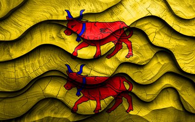 4k, drapeau de l'ours, provinces de france, drapeaux d'ondes 3d en bois, jour de l'ours, farner, drapeau en bois bearn, europe, provinces françaises, ouvrir
