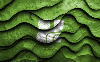 4k, tochigi, japans prefekturer, trä 3d  vågor flaggor, japan, tochigi träflagga, tochigi prefecture, asien, japanska prefekturer