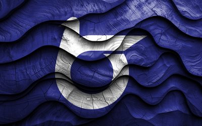 4k, tottori  flagga, japans prefekturer, trä 3d  vågor flaggor, dag av tottori, japan, tottori träflagga, tottori prefecture, asien, japanska prefekturer, tottori