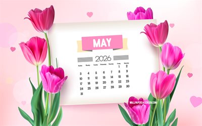2026 May Calendar, 4k, May 2026 Calendar, pink 3D tulips, May Calendar 2026, spring 2026 calendars, tulips, 2026 calendars, May