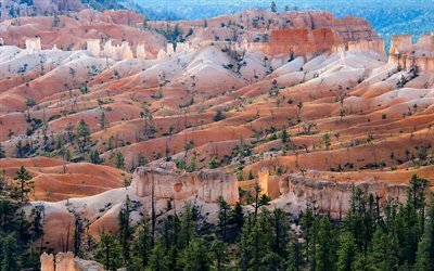 Fairyland Loop, rock, forest, Bryce Canyon National Park, UT, USA, America