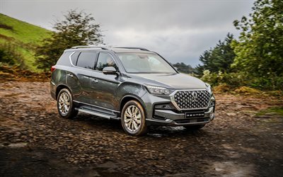 4k, kgm rexton, 未舗装道路, 2025車, suv, 英国スペック, 灰色のkgm rexton, 2025 kgm rexton, 韓国車, kgm
