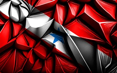 علم الفقرة, 4k, ثلاثي الأبعاد الملمس الإبداعي, الفقرة 3d العلم, البرازيل, الفن ثلاثي الأبعاد, الفقرة, حالة البرازيل, علم الدولة