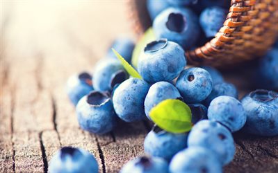 블루 베리, 보케, 익은 열매, 매크로, 큰 열매, 블루베리와 배경, 음식 질감, 블루베리, 딸기